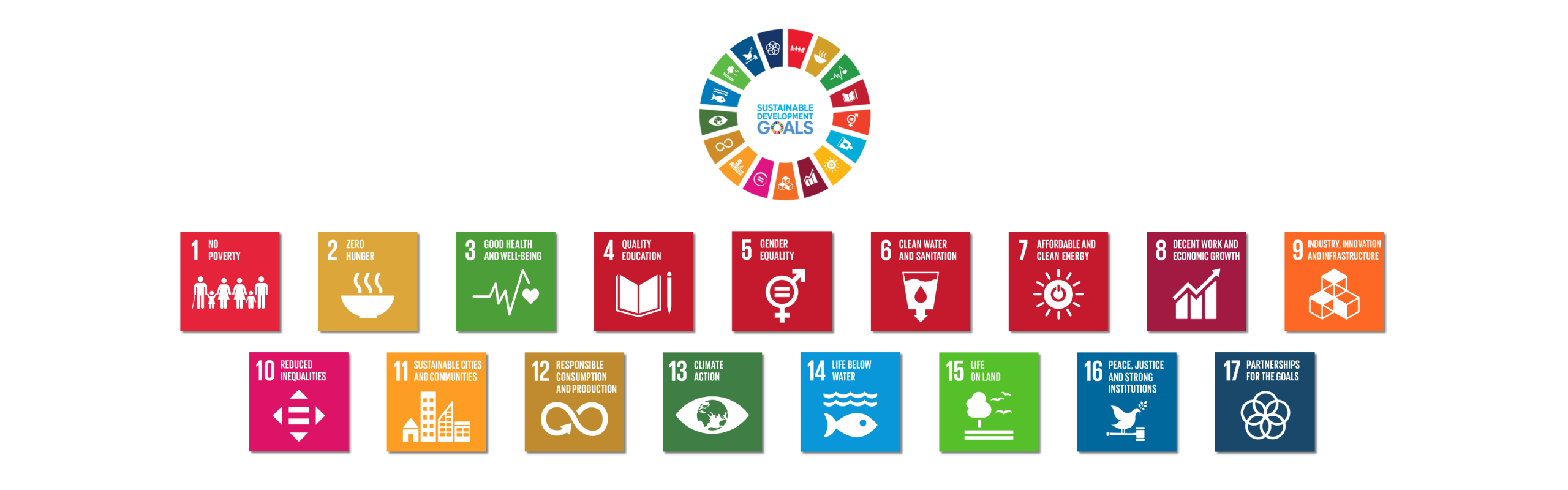 SDG Banner