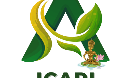 ICARI 2025: 5 DAYS TO GO!