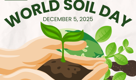 Happy World Soil Day!