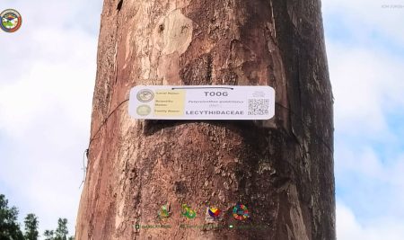 READ || ASSCAT Goes Digital in Promoting Biodiversity Through QR-Coded Tree ID